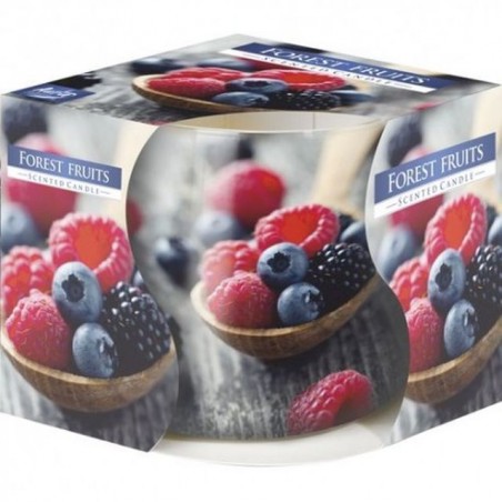 CANDELA PROF. VETRO DIS. F.BOSCO L48 EAN 5906927074086 INGROSSO CANDELE PER LA CASA