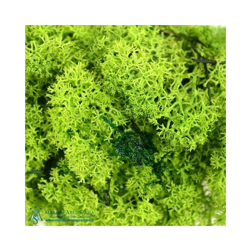 MUSCHIO NORDICO VERDE ART.533 EAN 8024949005331 INGROSSO ACCESSORI PER IL PRESEPE