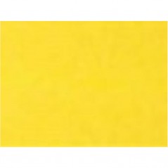 INGROSSO CARTOLERIA BRISTOL 220 70X100 GIALLO 18 F10 T1 80001751 QUADERNI ALBUM BRISTOL BRISTOL CARTONCINI COLORATI