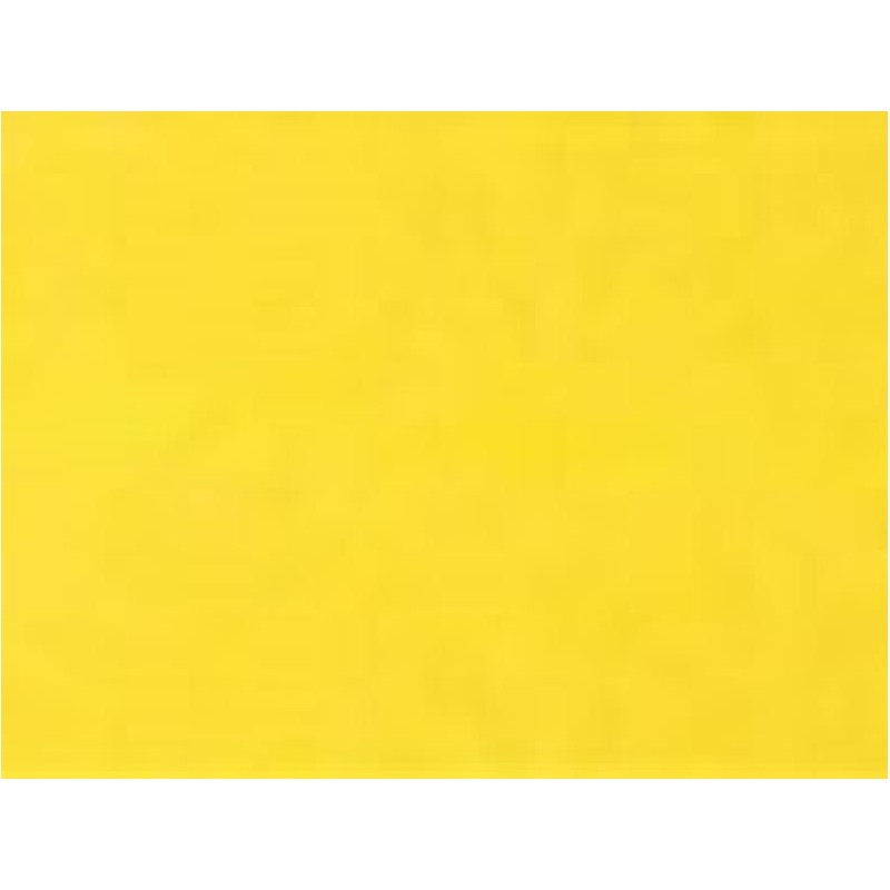 BRISTOL 220 70X100 GIALLO 18 F10 T1 EAN 80001751 INGROSSO BRISTOL CARTONCINI COLORATI