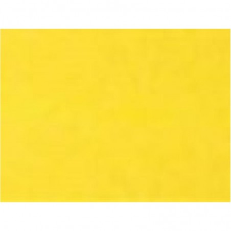 BRISTOL 220 70X100 GIALLO 18 F10 T1 EAN 80001751 INGROSSO BRISTOL CARTONCINI COLORATI