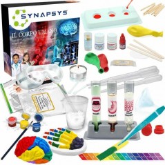 INGROSSO GIOCATTOLI SYNAPSYS IL CORPO UMANO 8057457731911 GIOCHI E GIOCATTOLI GIOCHI DIDATTICI E CREATIVI