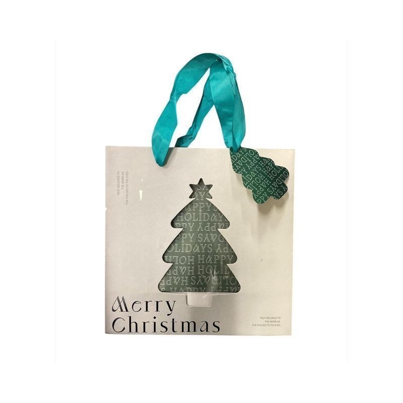 BUSTA REGALO NATALE 22X22X10 EAN 8012585001435 INGROSSO SACCHETTI E SHOPPER NATALIZI