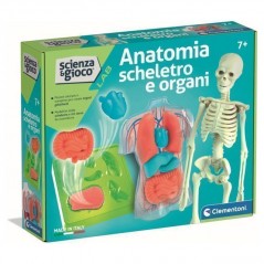 INGROSSO GIOCATTOLI ANATOMIA SQUISHY 8005125194148 GIOCHI CLEMENTONI SCIENZA E GIOCO CLEMENTONI