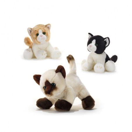 INGROSSO PELUCHE GATTI BIRBONI L.23CM 3 COLORI 8029956158117 PELUCHE ANIMALI PELUCHE MORBIDOSI