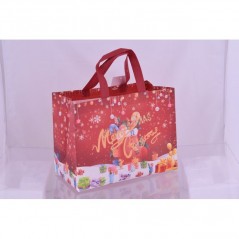 INGROSSO ARTICOLI DI NATALE BUSTA NATALE MERRY XMAS C/CALZA TNT ROS 8027458211965 ARTICOLI NATALIZI PER CONFEZIONI SACCHETTI E S