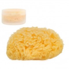 INGROSSO PUERICULTURA SPUGNA NATURALE CORREDINO INC. SCAT. 3662332015304 PRODOTTI PUERICOLTURA ACCESSORI PRIMA INFANZIA