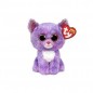 BEANIE BOOS 15CM CASSIDY GATTINO EAN 0008421362486 INGROSSO PELUCHE OCCHIONI TY