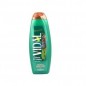 VIDAL BAGNO 500ML PINO CLASSICO EAN 8008970049526 INGROSSO DOCCIA SCHIUMA