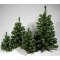 INGROSSO ALBERO ECOLOGY CM.30 VE