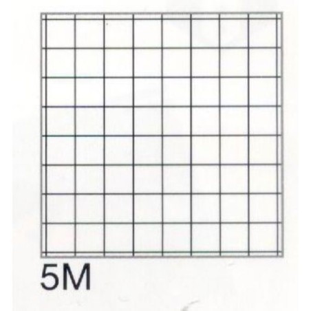 INGROSSO BLOCCO NOTES SPIR. A4 FF.60 PIGNASTYL