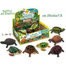 INGROSSO GEO NATURE - TARTARUGHE