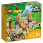 LEGO DUPLO 10939 FUGA DEL T.REX E DEL TR ICERATOPO EAN 5702016911091 INGROSSO LEGO DUPLO