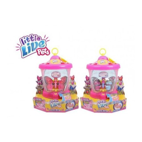 INGROSSO MARIPOSA CASA CON FARFALLA 32X30X24