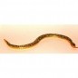 SERPENTE LEGNO EAN 8027501131219 INGROSSO GIOCHI IN LEGNO
