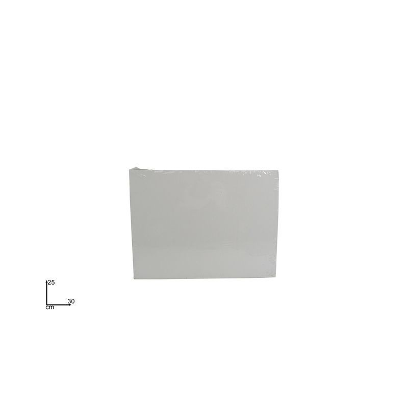 TELA PER DIPINGERE CM.25X30 EAN 8034048576847 INGROSSO TEMPERE E ACCESSORI