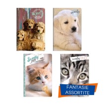 INGROSSO AGENDA GIORNALIERA 6