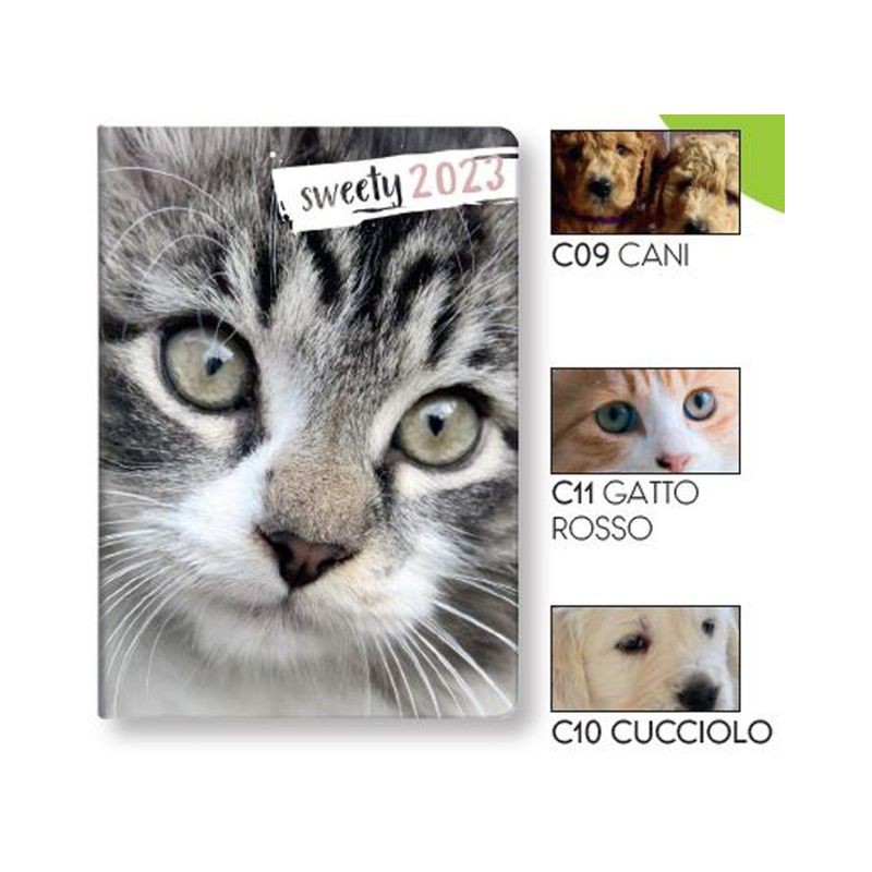 AGENDA GIORNALIERA 10,5X14,8 S/D ABB SWE ETY ASS EAN 8007748339210 INGROSSO AGENDE E CALENDARI