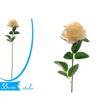 INGROSSO ROSA 860003