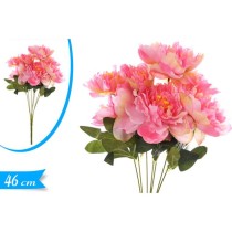 INGROSSO BUSH PEONIA 861047