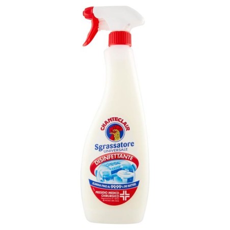 INGROSSO CHANTE SGRASS. COMPL.600 DISINFETT