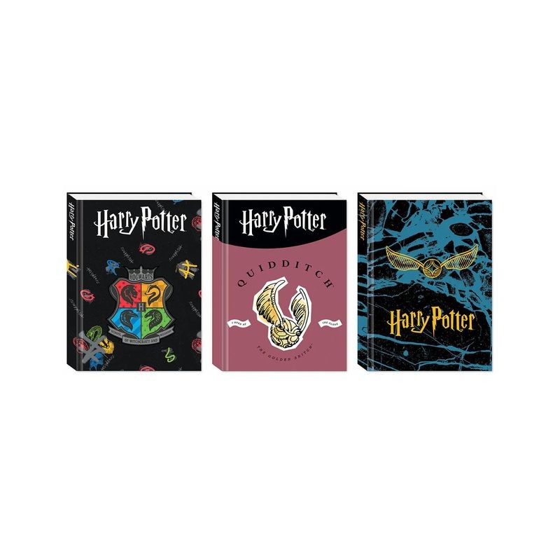 DIARIO AG.10M HARRY POTTER EAN 8055714095721 INGROSSO DIARI SCUOLA