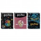 DIARIO AG.10M HARRY POTTER EAN 8055714095721 INGROSSO DIARI SCUOLA
