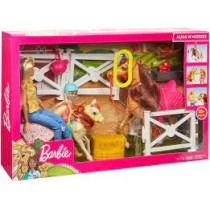 INGROSSO RANCH DI BARBIE E CHELS