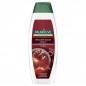 PALMOLIVE SHAMPOO BRILLANT COLOR 350ML EAN 8714789880518 INGROSSO SHAMPOO