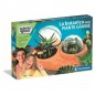 PIANTE GRASSE 19422 EAN 8005125194223 INGROSSO SCIENZA E GIOCO CLEMENTONI