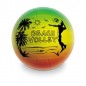PALLONE VOLLEY RAINBOW EXTRA 23030 EAN 8001011230303 INGROSSO PALLONI CALCIO E VOLLEY