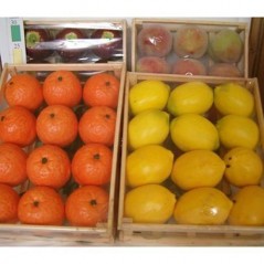 INGROSSO GIOCATTOLI FRUTTA ASS. 12 8015361808297 INGROSSO ARTICOLI LOTTERIE LOTTERIA