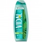 VIDAL BAGNO 500ML. MUSCHIO BIANCO EAN 8008970055350 INGROSSO DOCCIA SCHIUMA