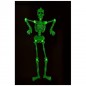 SCHELETRO PIATTO SNODABILE H.CM.90 D'APP EAN 8004761098810 INGROSSO DECORAZIONI HALLOWEEN
