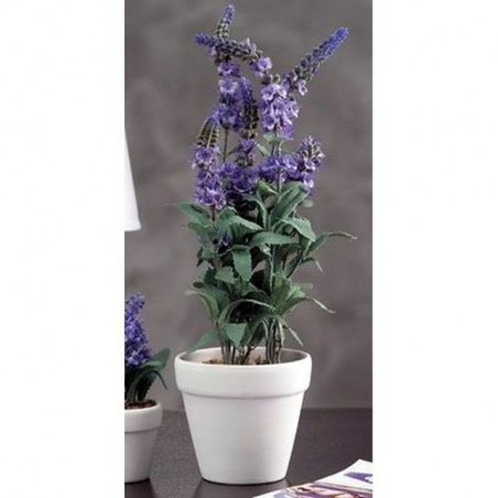 INGROSSO CASALINGHI VASO C/LAVANDA D.11XH40CM 8021785216181 INGROSSO ARTICOLI PER CASA FIORI FINTI D'ARREDO