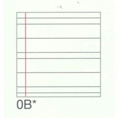 INGROSSO CARTOLERIA QUADERNO MAXI PIGNA gr.80 B P.60.039 8005235526938 INGROSSO QUADERNI ALBUM BRISTOL