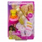 BARBIE RICCI PERFETTI PLAYSET EAN 0887961716597 INGROSSO BARBIE